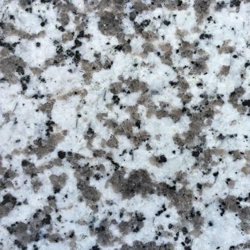 زهرة بيضاء كبيرة