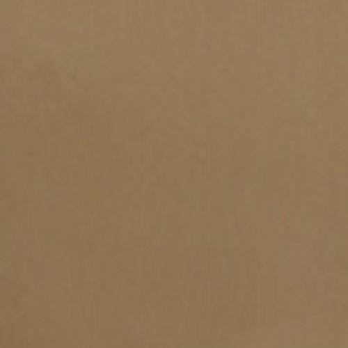 الحجر الرملي