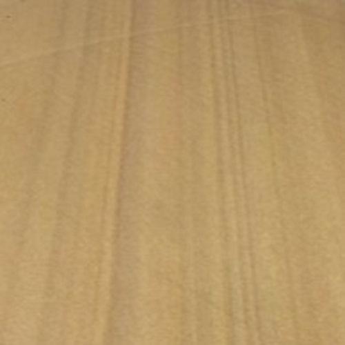 Honey shade Sandstone