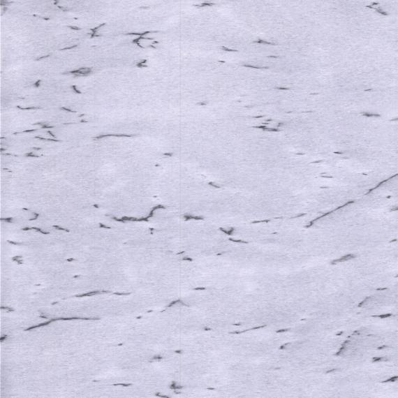 مادة بناء رخام ستاتواريو الأبيض