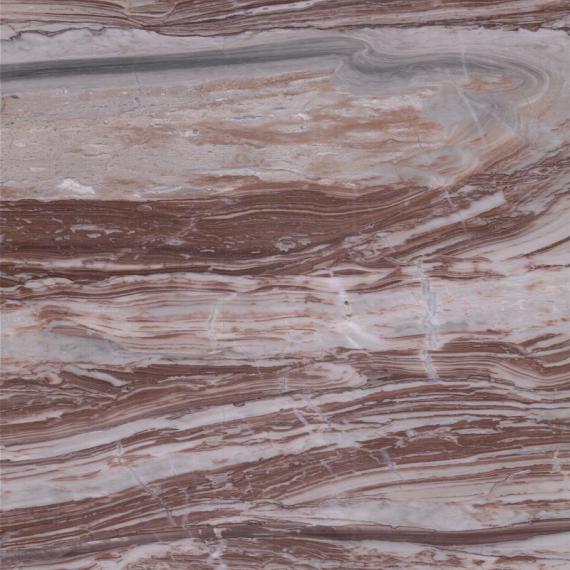 عصري أنيق عصري حصري فريد مثالي