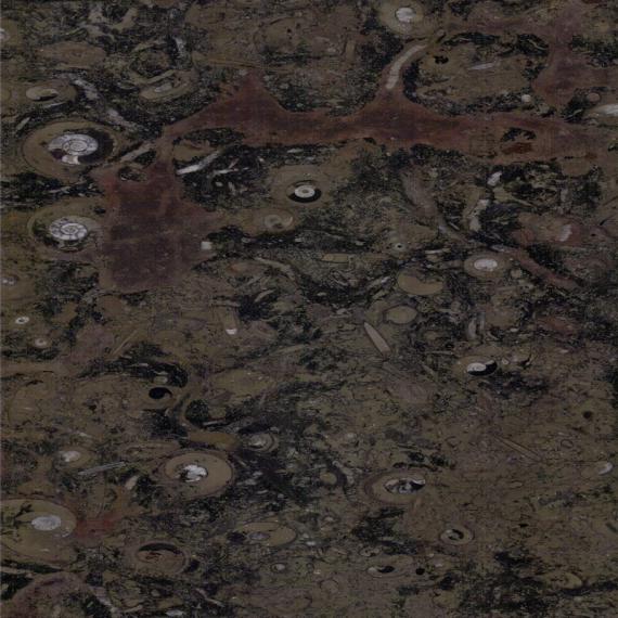 حجر رخام فريد من نوعه لمنزل فاخر