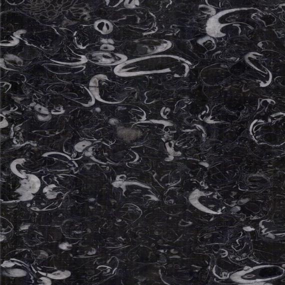 رخام أحفوري حصري للمباني المتطورة