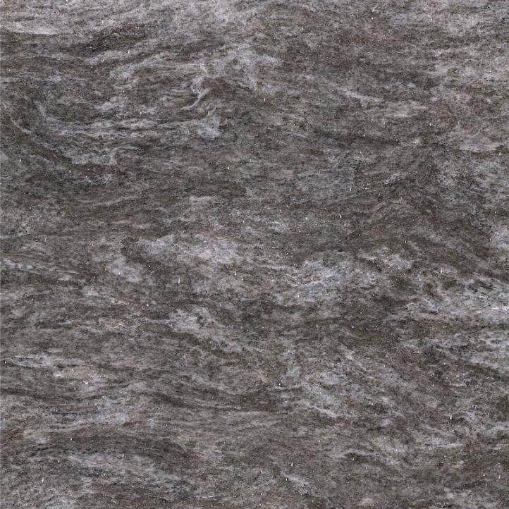 الرمادي الفضي الاسكتلندي (2)