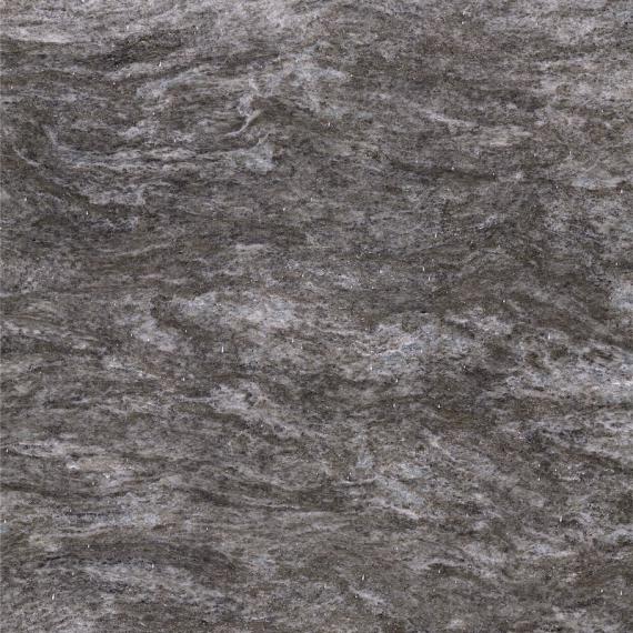 الرمادي الفضي الاسكتلندي (2)