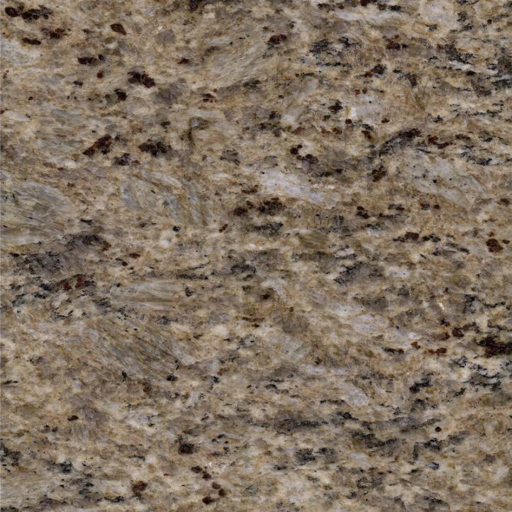 تانينو جولد جراين (2)