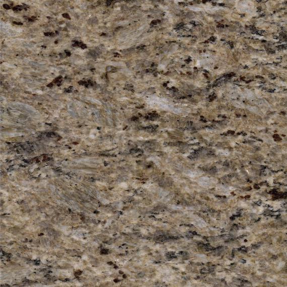 تانينو جولد جراين (2)