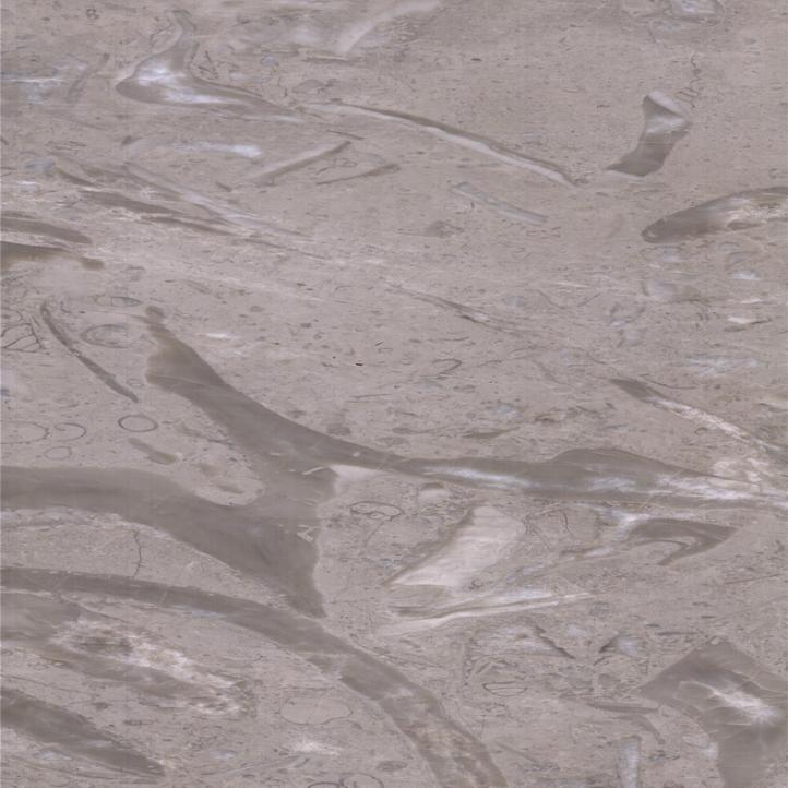 ذيل الفينيق الرمادي