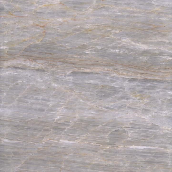 الحرباء الأرجواني