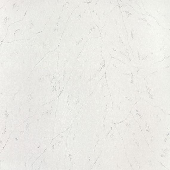 الكوارتز ذو النمط والملمس الأحفوري