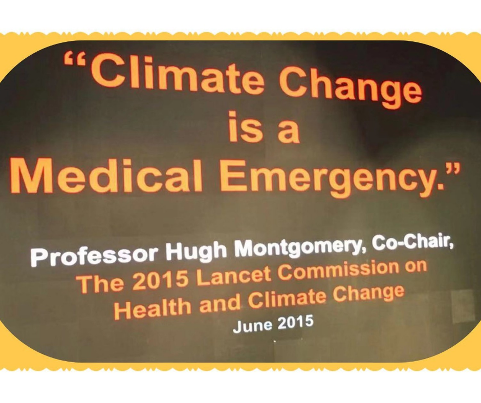 ملاحظات أنجيلا. واقع المناخ: التصميم في ظل تغير المناخ والزراعة - دمج الزراعة الحضرية في تصميم العمارة الحديثة